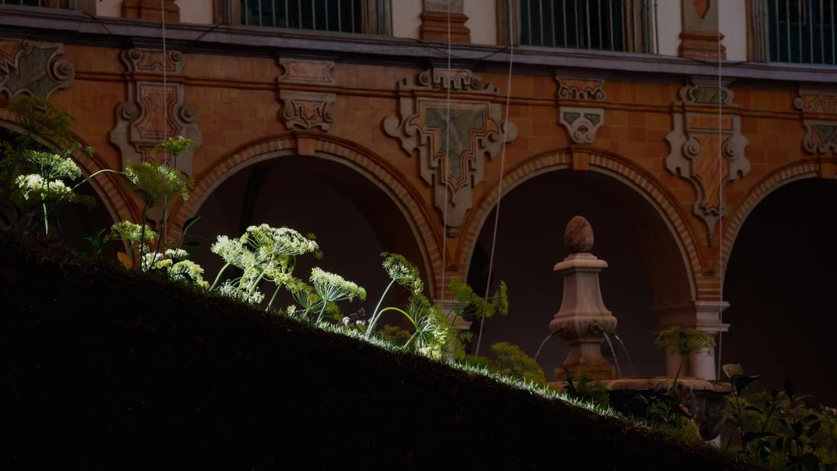 Flora abre sus patios de arte efímero ante un mundo cambiante