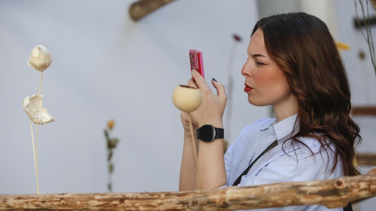 Flora 2025 - 'Arbor' (Museo Arqueológico)