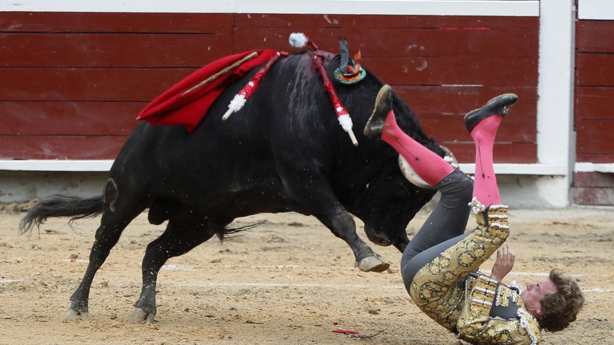 No más cornadas en la cultura