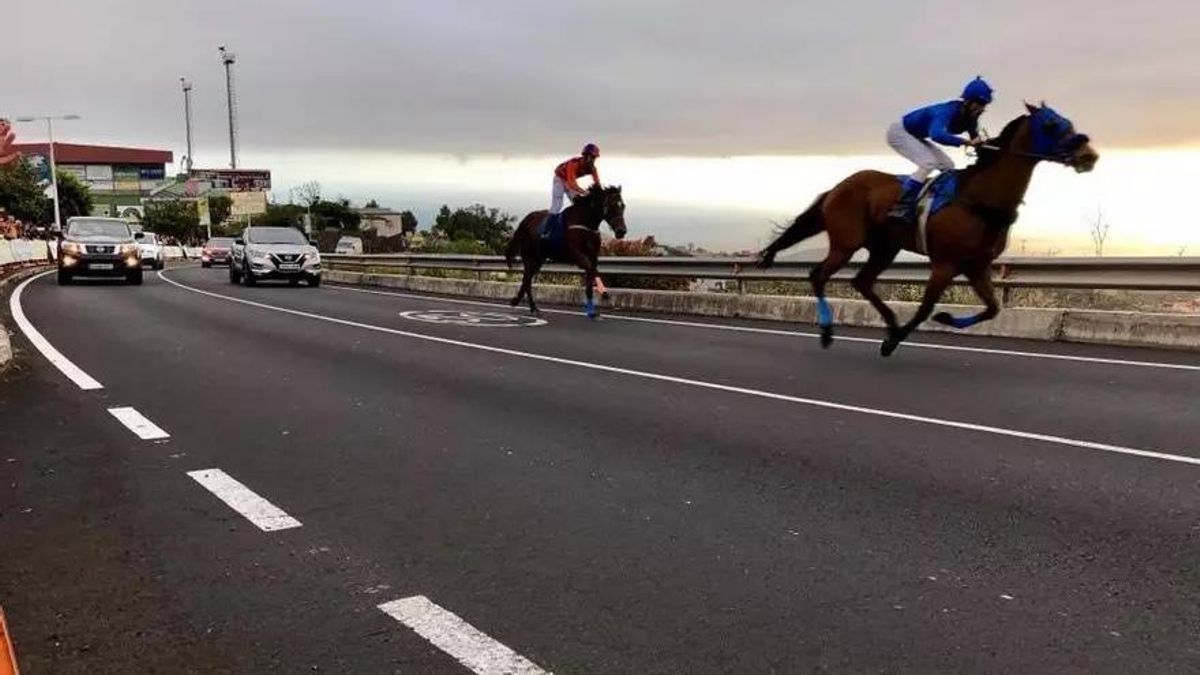 La Palma Ecuestre celebra una nueva competición en Los Llanos de Aridane