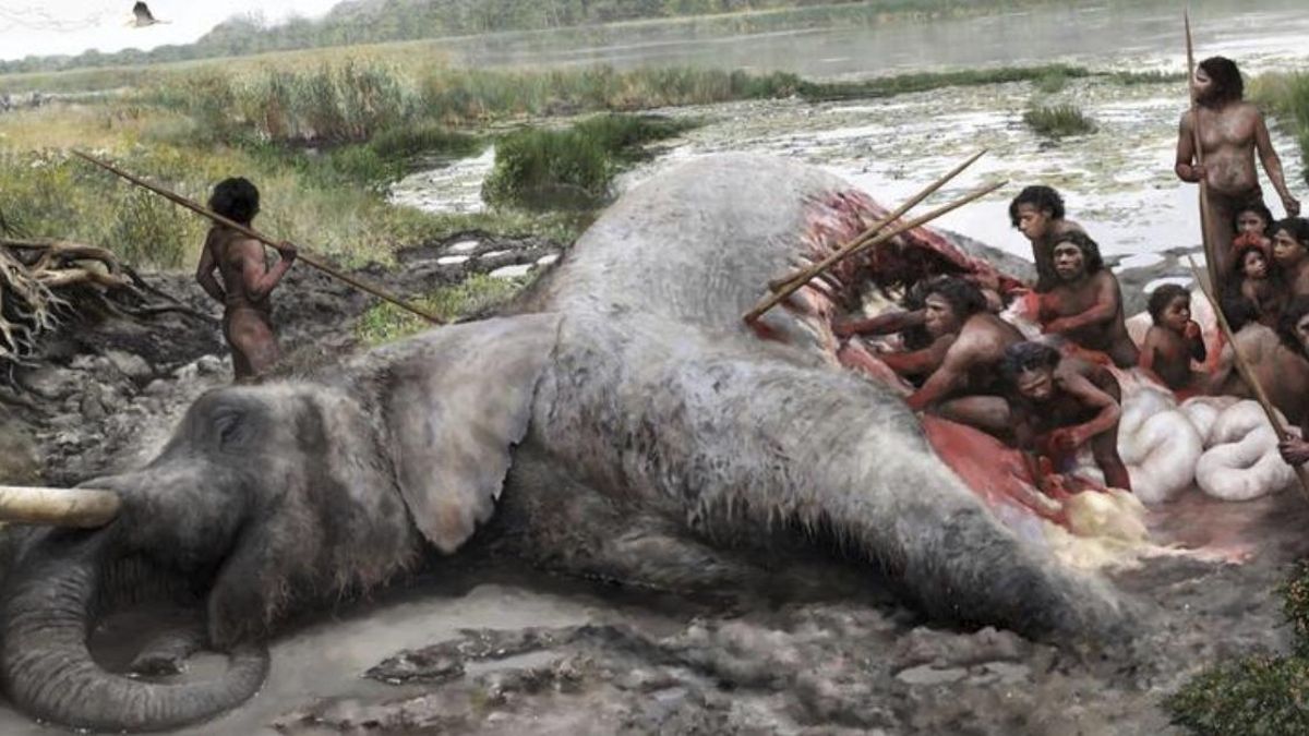 Los huesos de elefantes gigantes cuentan algo extraño: caminaron cientos de kilómetros antes de acabar en manos neandertales