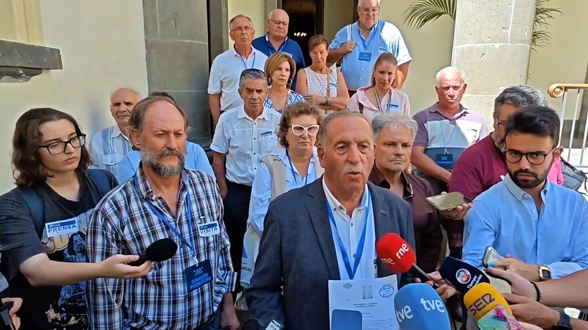 Comisión promotora de la Ley de Volcanes de Canarias.