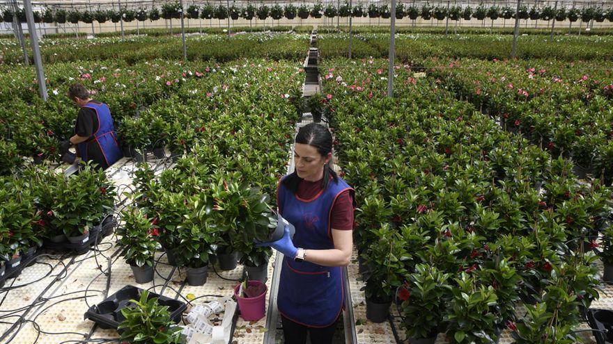 La brecha salarial de género sigue reduciéndose en España y marcó un mínimo en 2023 con el 15,7 %