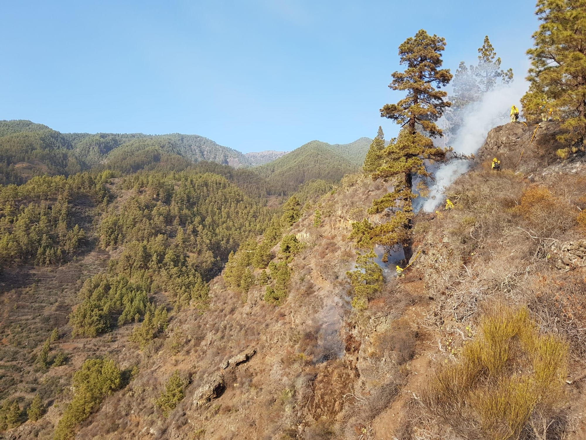 Varios agentes de la Brigada de Refuerzo de Incendios Forestales (BRIF) durante las tareas de extinción del incendio  de Tijarafe en un pronunciada ladera.