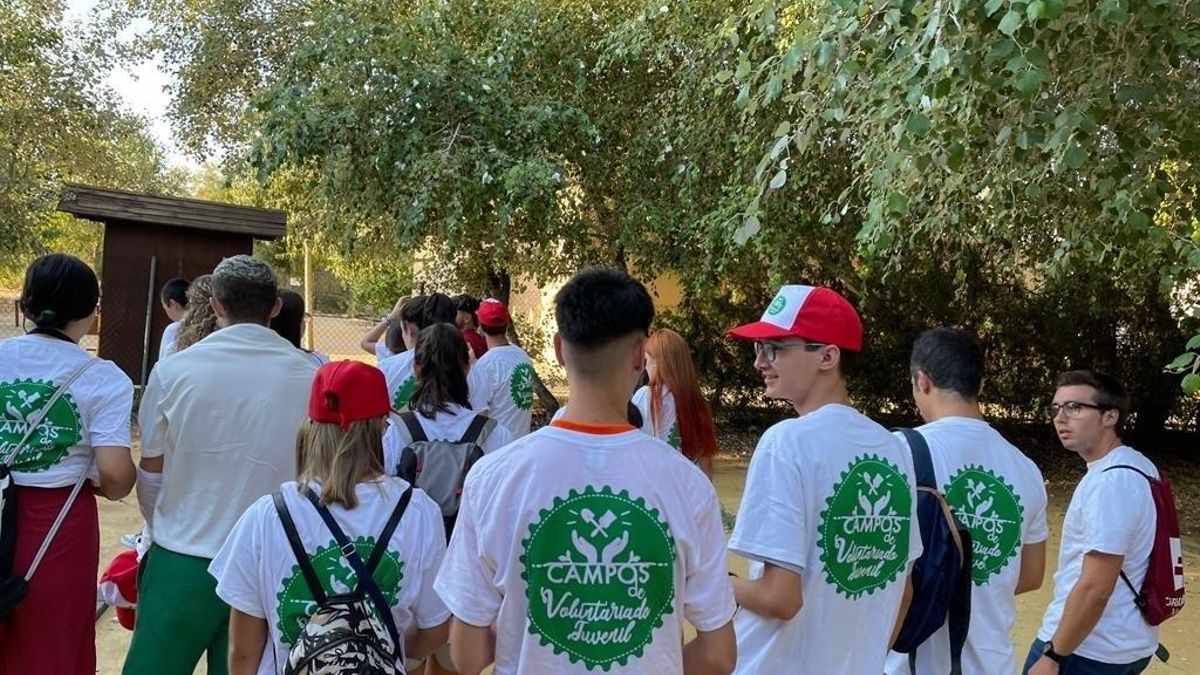 Abierto el plazo de preinscripción para los Campos de Voluntariado Juvenil en el Extranjero 2025