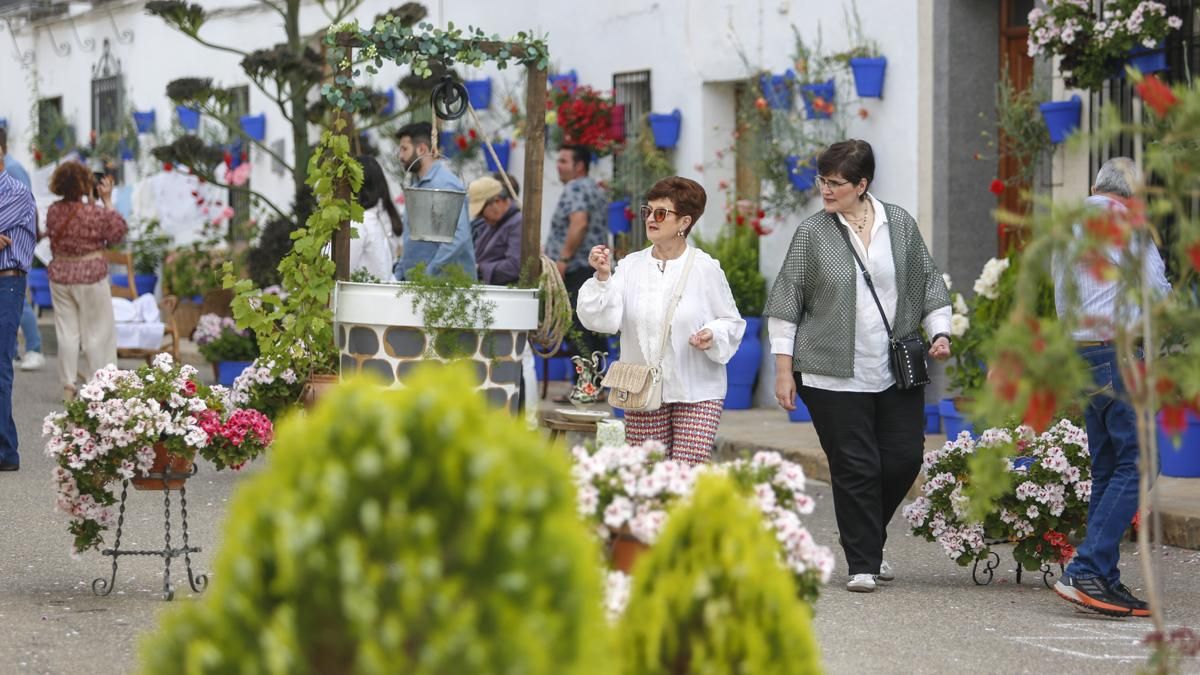 Calles en Flor 2026