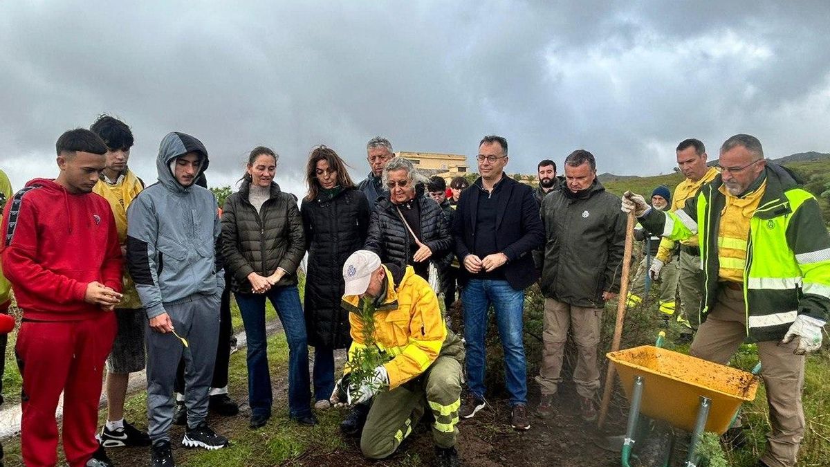 Santa Cruz de Tenerife inicia la renaturalización del Monte de Las Mesas con la plantación de 400 especies