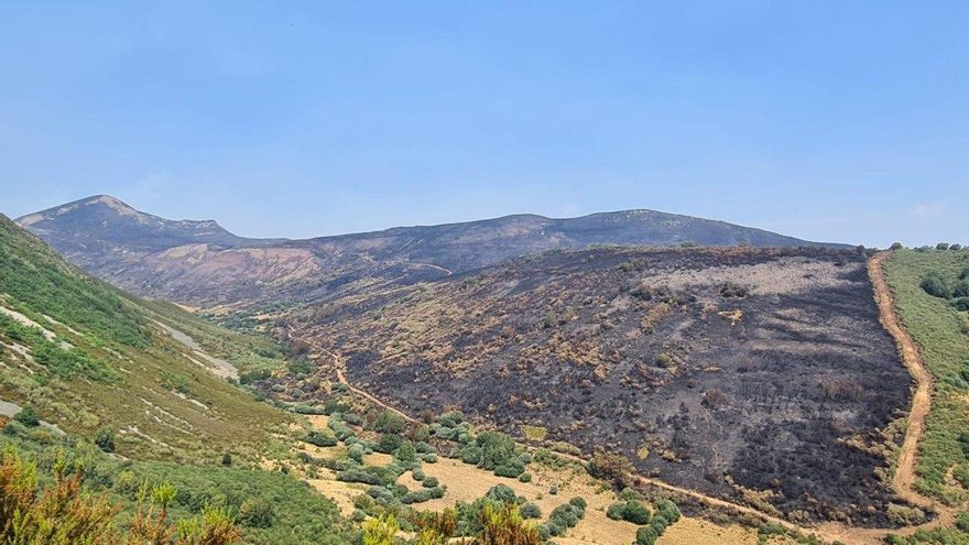 Una semana de fuego en el hogar cantábrico del oso pardo y el urogallo: críticas por falta de medios y brigadas vecinales