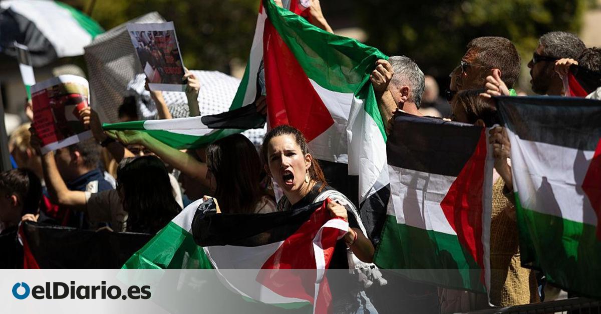 Se buscan banderas palestinas solidarias para ondear en protestas: así se han agotado en las tiendas