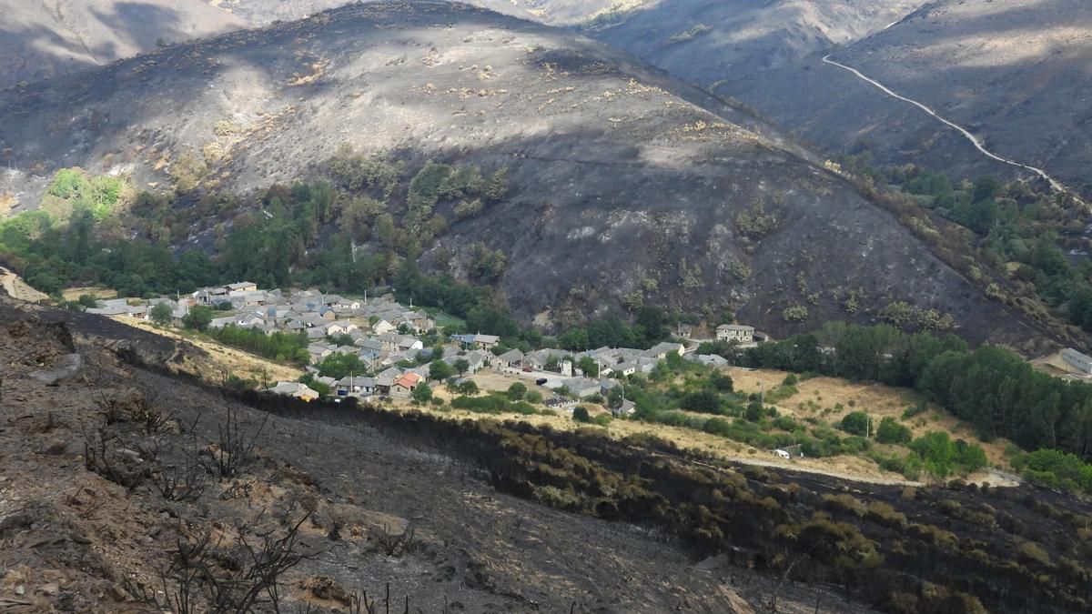 Terreno calcinado por los incendios forestales en Pobladura de la Sierra. 