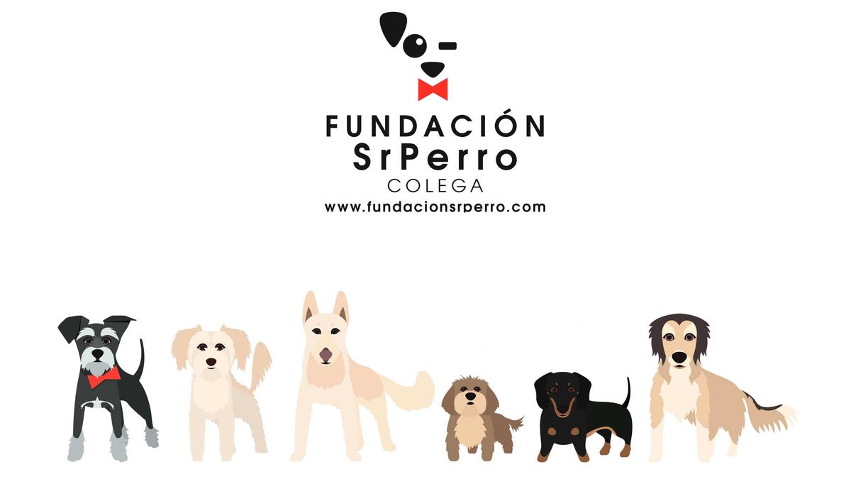 Dolor, miedo, castigo… Cualquier perro puede llegar a morder por causas ajenas a su raza