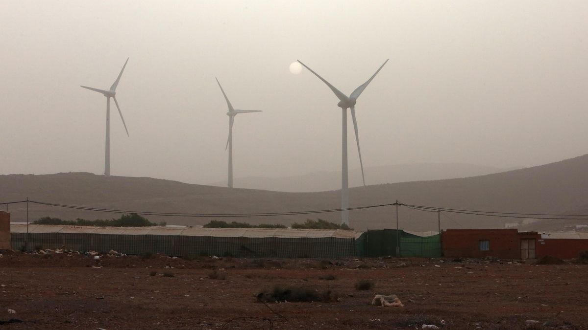 FOTOGALERÍA | Canarias, de nuevo cubierta por un manto de calima