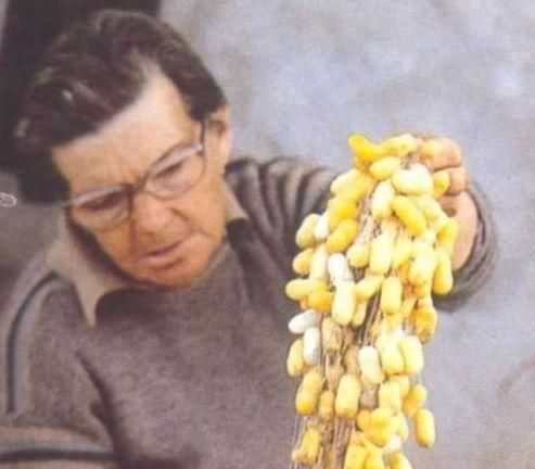 Doña Nieves Jiménez era una maestra en el oficio de la seda.