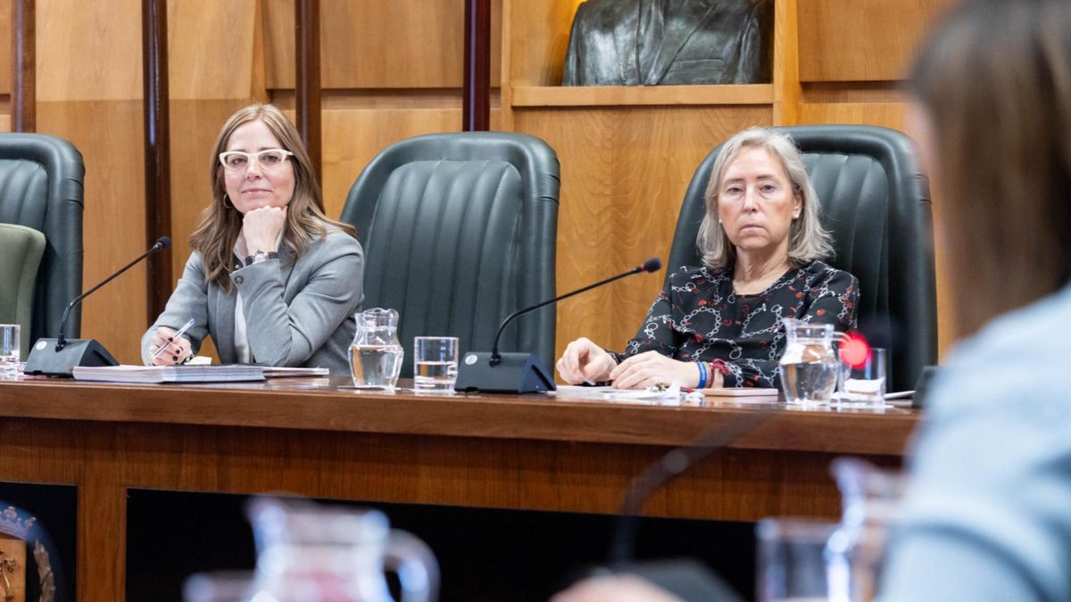Vox mantiene su 'no' a los presupuestos de Zaragoza y acerca a la alcaldesa Chueca a una cuestión de confianza