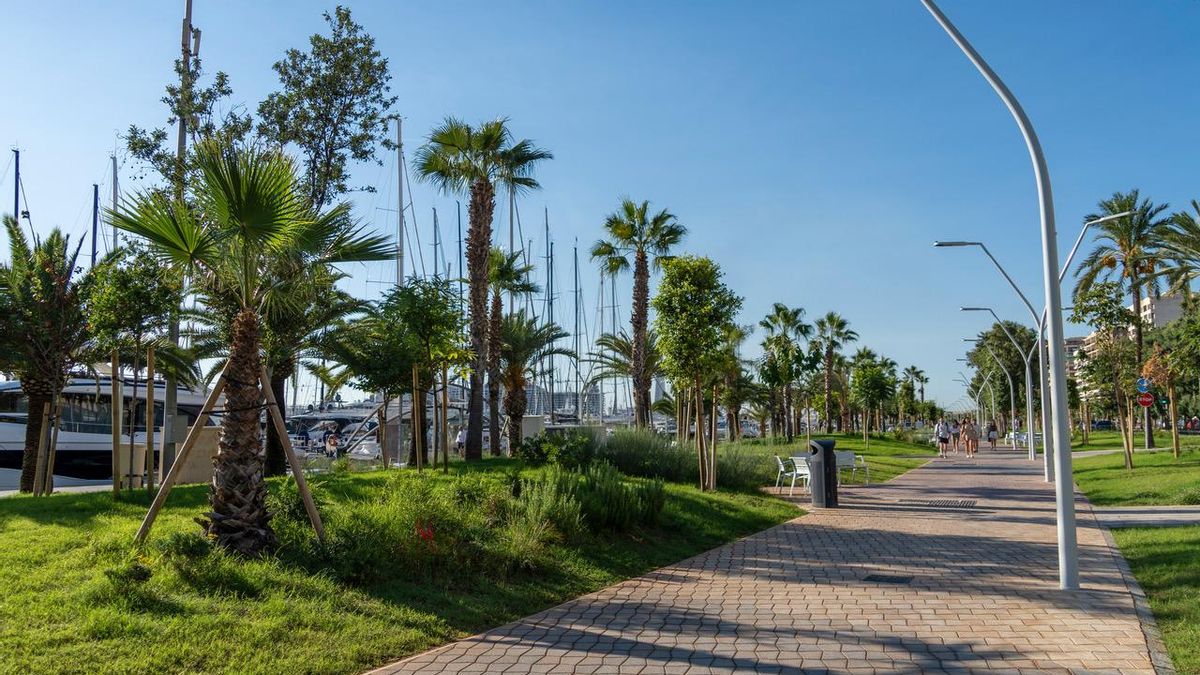 La reforma se ha aprovechado para compensar las emisiones de CO2 plantando 1.820 árboles y para mejorar los sistemas de drenaje.