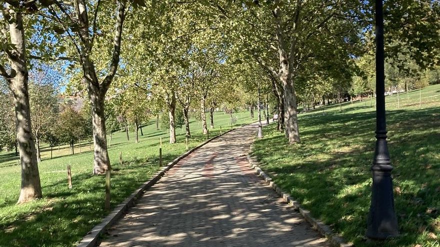 Santander talará y retirará un castaño de Indias del Parque Doctor Morales por riesgo de caída