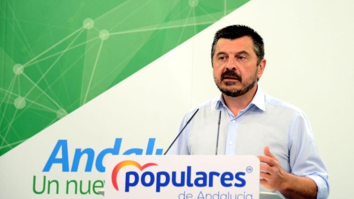 El PP andaluz describe "el desprecio" de Sánchez a Andalucía al ofrecer Algeciras al 'Open Arms' "sin avisar" a la Junta