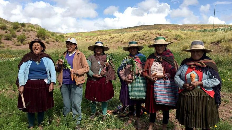 Consolidación de la soberanía alimentaria con equidad de género en comunidades campesinas quechuas de Pocoata