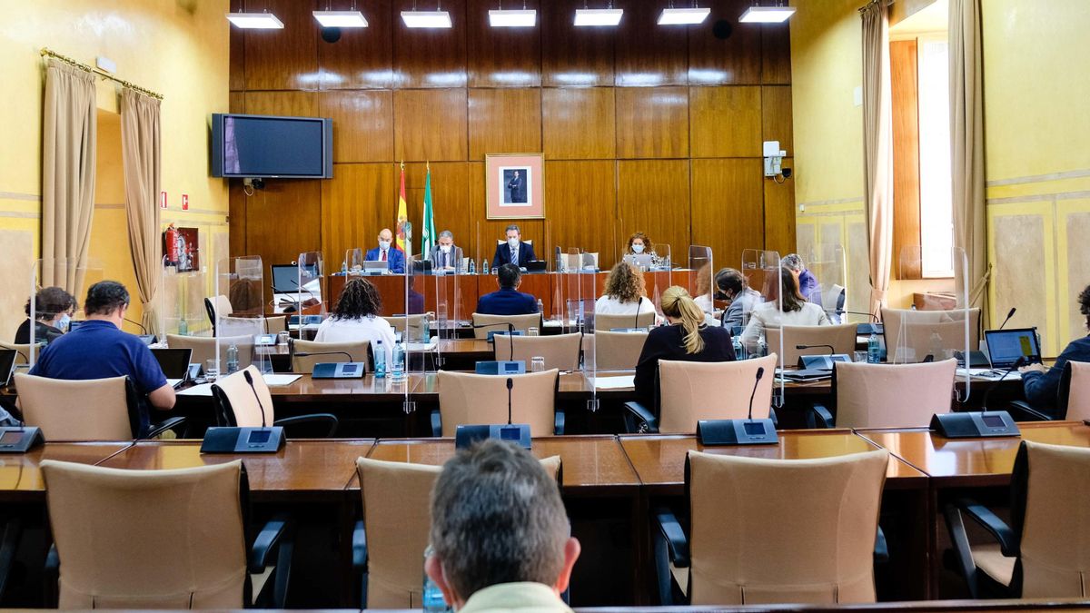 Sesión de la comisión de Presidencia, Administración Pública e Interior del Parlamento andaluz.