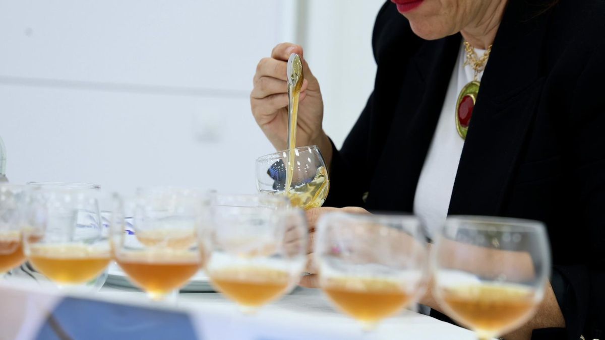 ‘Colmenar de La Violeta’ de Moya, declarada Mejor Miel de Gran Canaria en el XX Concurso Oficial del Cabildo