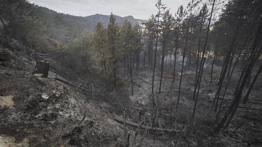 El riesgo de incendio en Navarra sigue siendo extremo a pesar de la bajada de las temperaturas