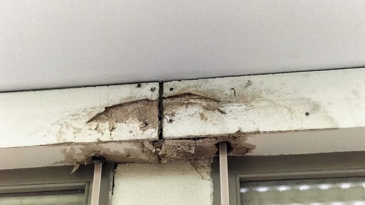 Desperfectos causados por el agua en el IES Ramón Pignatelli