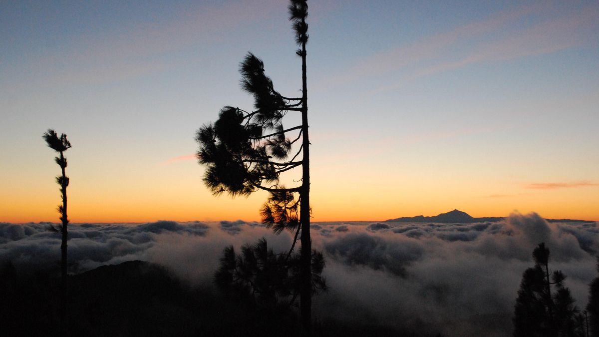 FOTOGALERÍA | Rodaje de 'Pinares de Fuego' en la cumbre de Gran Canaria