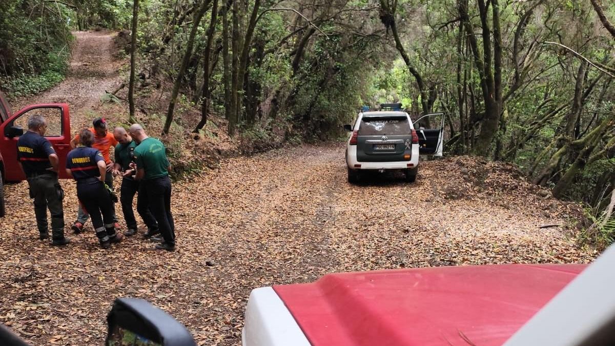 Dispositivo de búsqueda  llevado a cabo este lunes del senderista alemán  se dio por desparecido en la zona de Los Tilos en noviembre de 2024.