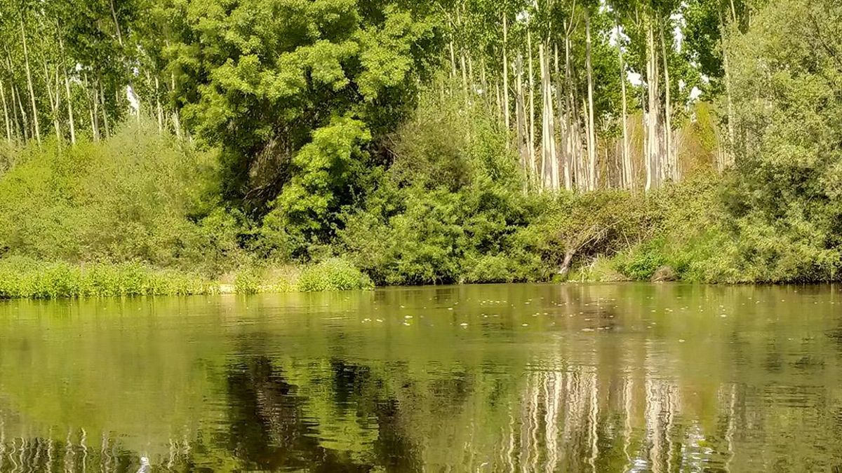 Ecologistas y vecinos denuncian al Ayuntamiento de Santa Cruz del Retamar por verter aguas residuales al río Alberche