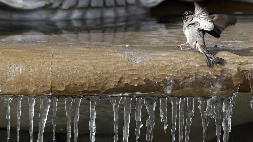 Unos días de frío no hacen al invierno gélido: la estación ha sido la segunda más cálida registrada en Europa