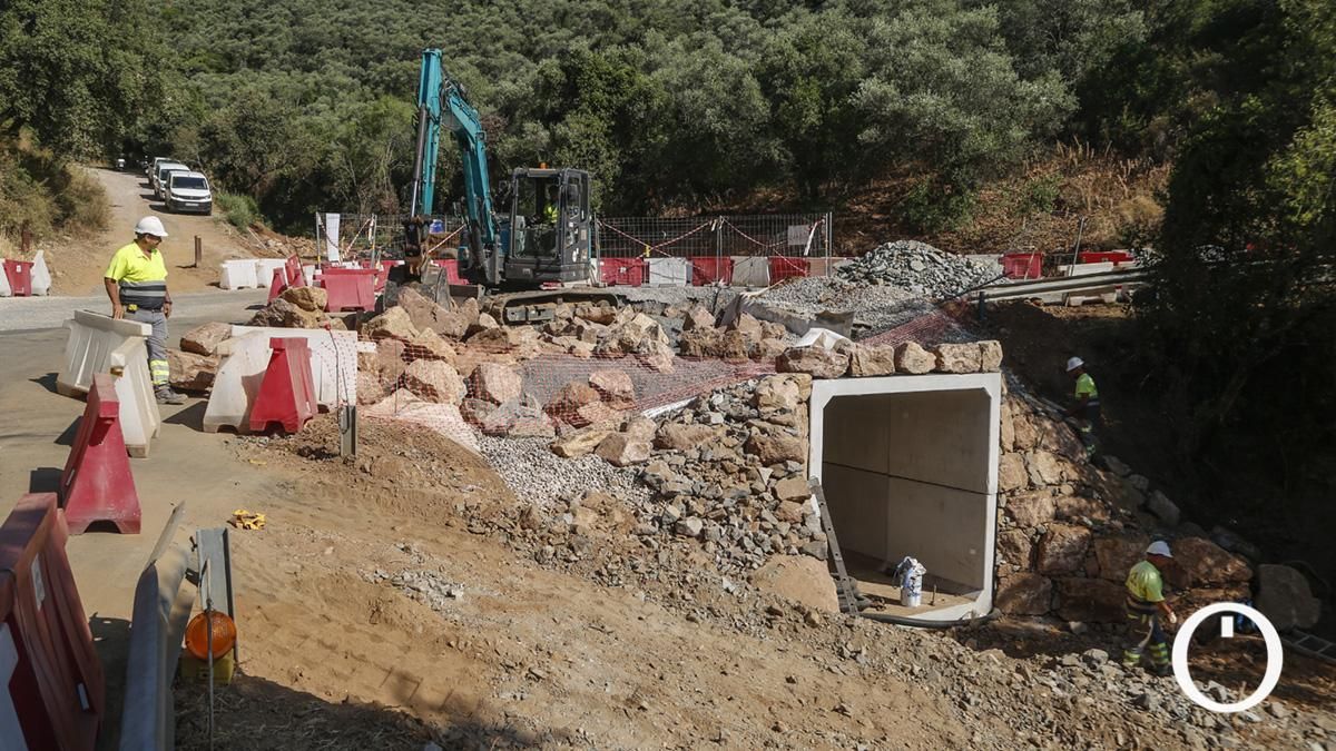 Construcción de la pasarela y el paso subterráneo del Cinturón Verde