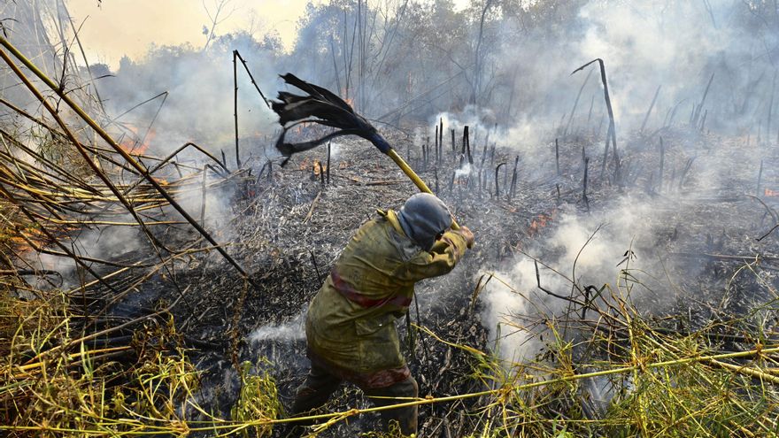 Día Mundial de la Prevención de Incendios Forestales: ¿por qué se celebra cada 18 de agosto?
