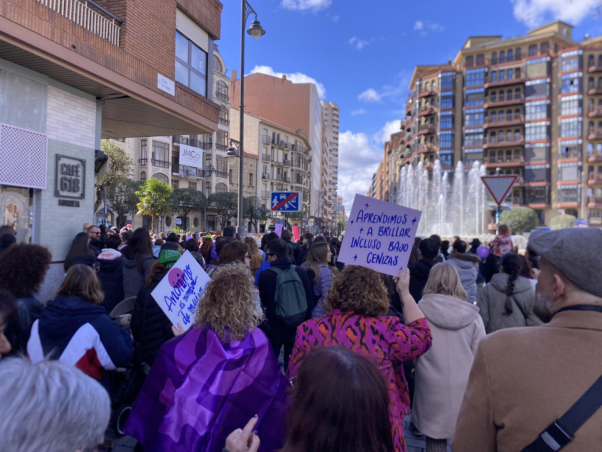 La manifestación de 8M en Logroño, en imágenes