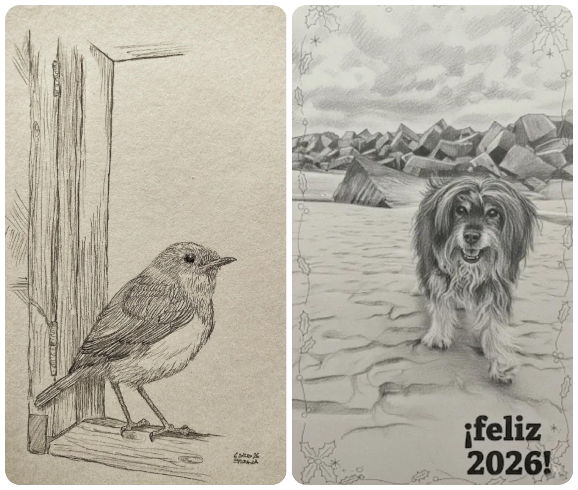 Dos ilustraciones de Esperanza Martín, una entintada de un pajarín y otra a lápiz, como felicitación de año nuevo.