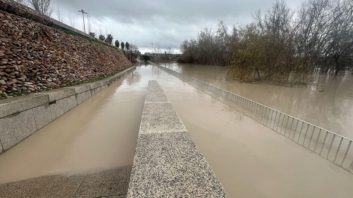 El Balcón del Guadalquivir inundado frente al Molino de Martos