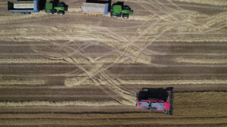 Cosecha récord de cereal y precios hundidos: la especulación pone en riesgo 890 millones en Castilla y León