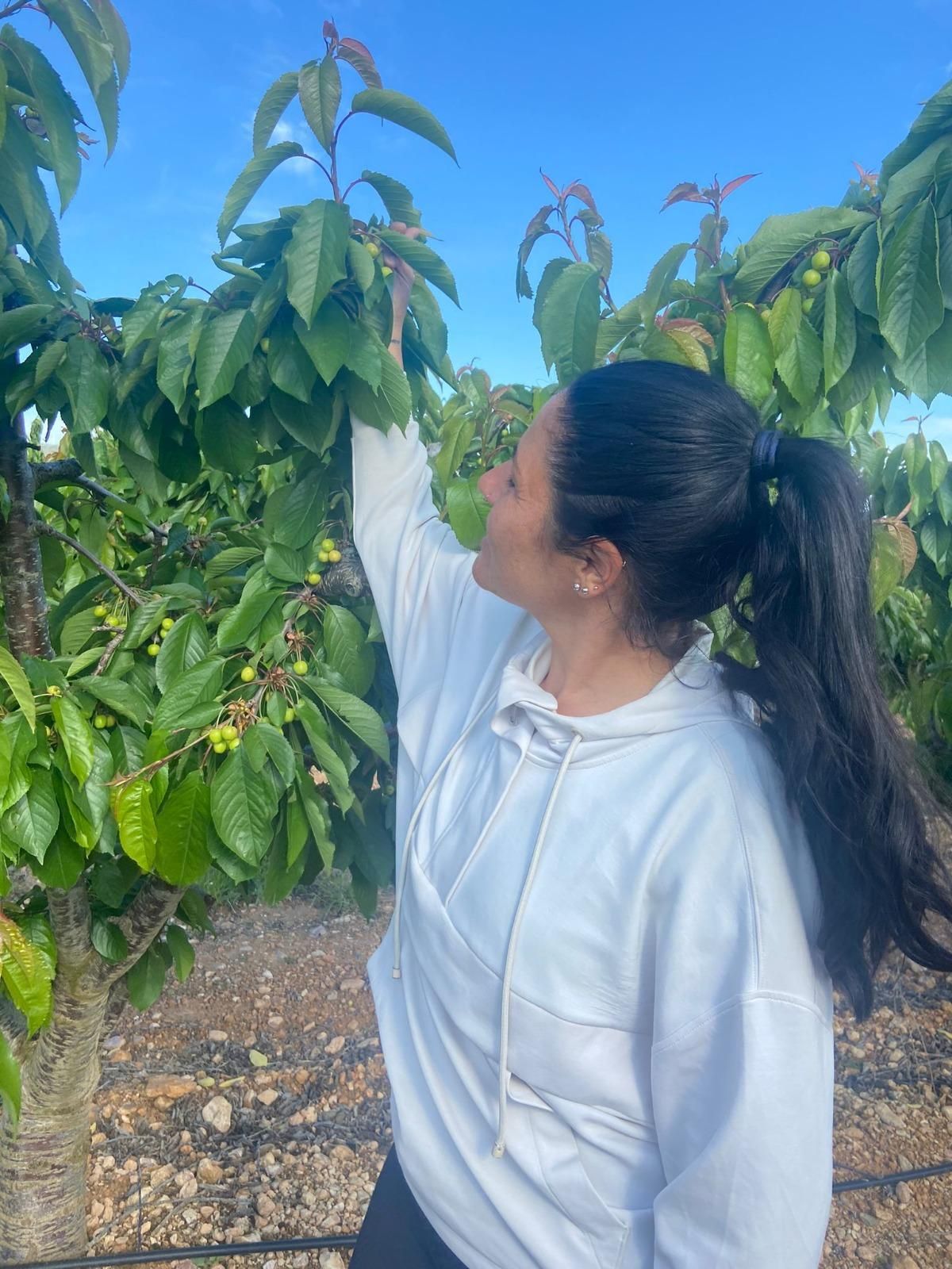 Elsa Romeo en las nuevas plantaciones de cerezos