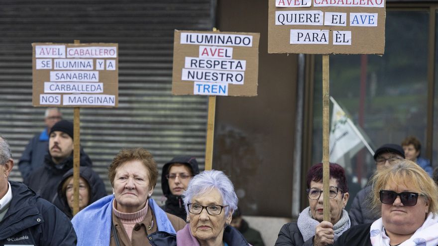 Afectados por la supresión de paradas del AVE en Zamora llevan sus reivindicaciones a Vigo