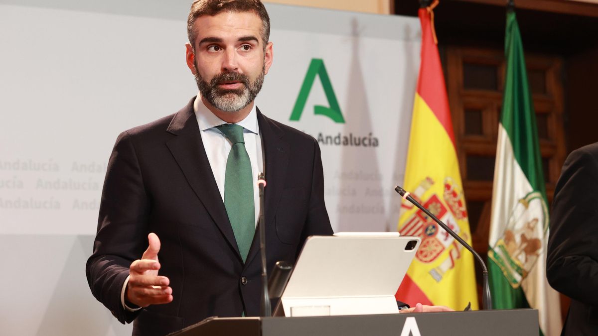 El consejero de Sostenibilidad y portavoz del Gobierno, Ramón Fernández-Pacheco, este martes en la rueda de prensa del Consejo de Gobierno.