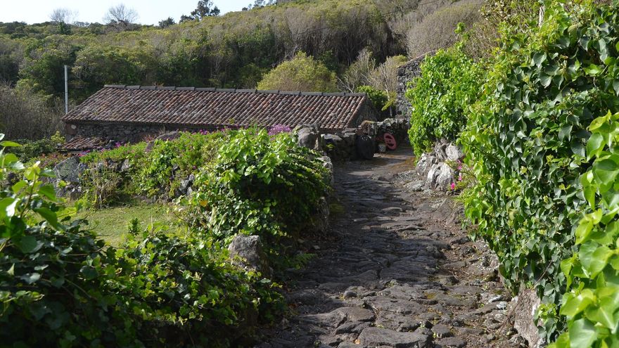 Camino de lava volcánica. El verde y el negro dominan por completo el panorama en Flores.