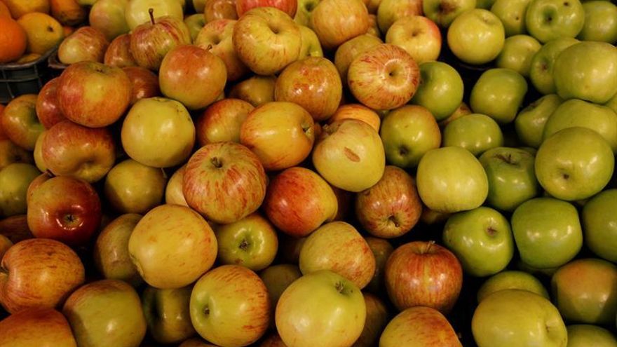 Cada español gastó 1.528 euros en 2016 en compra de alimentos, un 1,7 % más