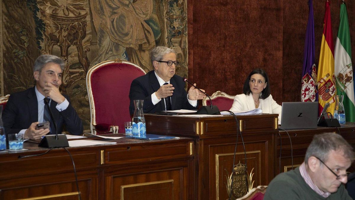 Pleno de la Diputación de Córdoba.