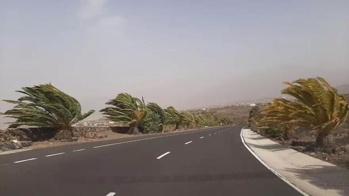 Aviso amarillo por viento de 80 km/h en el oeste de La Palma