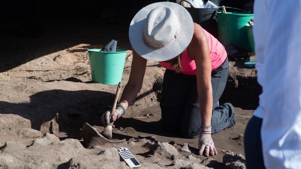 Un sondeo con georradar detecta nuevas zonas con posible potencial arqueológico en el yacimiento de Lobos. EFE/ Carlos De Saá