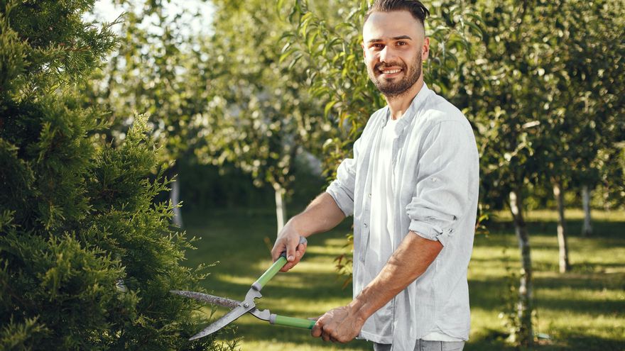 Cómo hacer la poda de invierno, según el jardinero Oleguer Grau: "Es una época de letargo vital para muchas plantas"