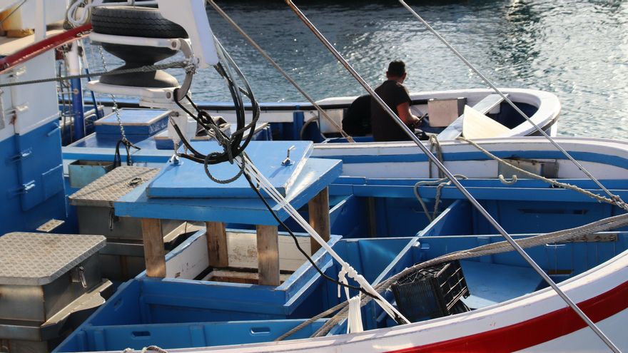 Canarias solicita un tratamiento diferenciado en el reglamento del Fondo Europeo Marítimo y de Pesca