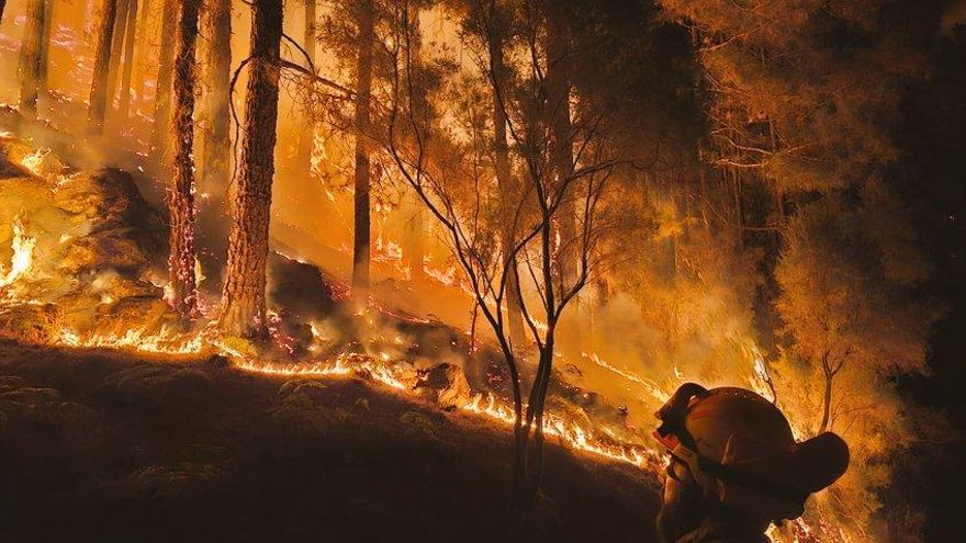 La extinción del incendio de Tenerife "será complicada": ya son 14.878 hectáreas quemadas y doce municipios afectados