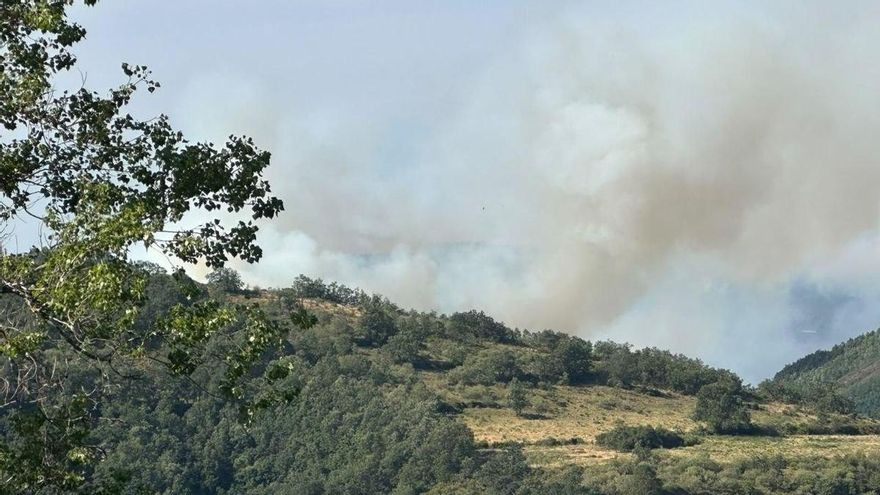 Espina de Tremor, único incendio considerado de gravedad en León tras mejorar el de Picos de Europa