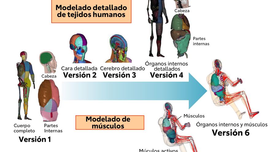 El sistema se desarrolló como una prueba de colisión digital para vehículos, y por eso incluía todos los huesos, órganos, tejidos y tendones del cuerpo humano.