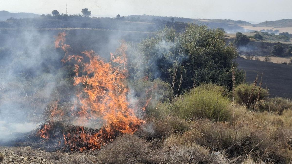 Incendio en las Cinco Villas